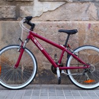 Sua - Imagen 5